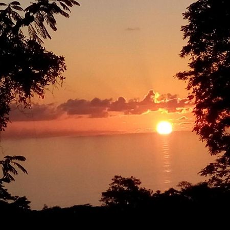 شقق بريشيوس ريزدنس سي Grand Anse  المظهر الخارجي الصورة